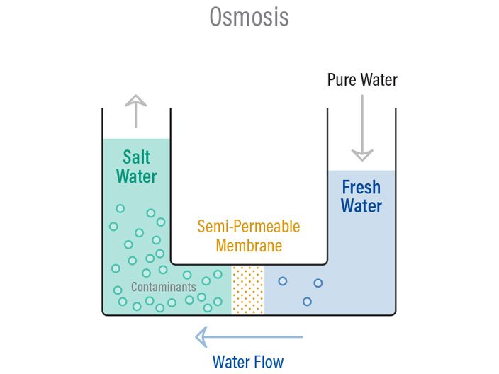 اسمز معکوس چیست؟